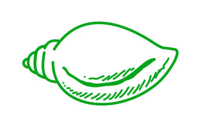 Marketing Agency for BIJU